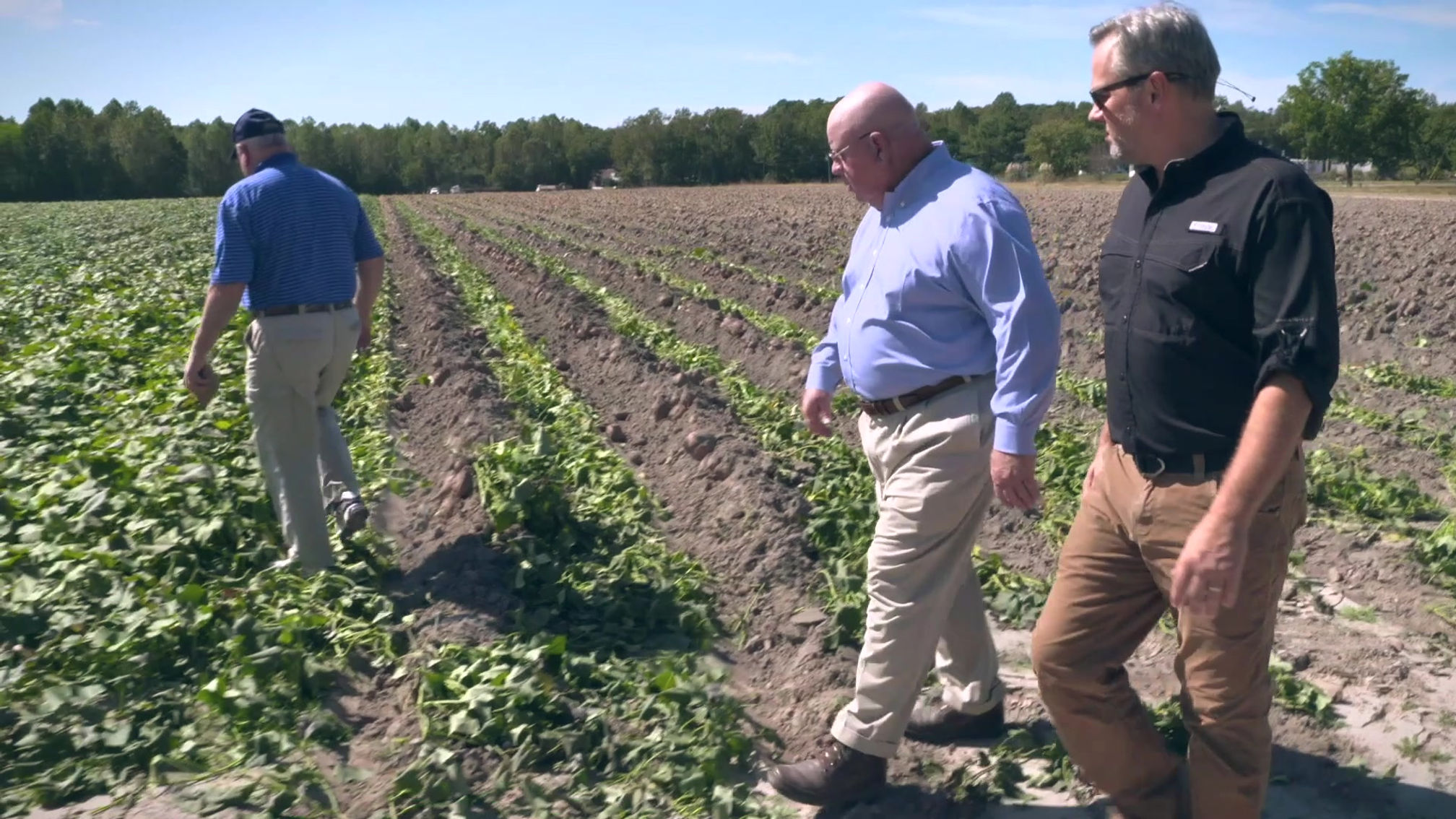 Agriculture in North Carolina | Dan Forest For Governor